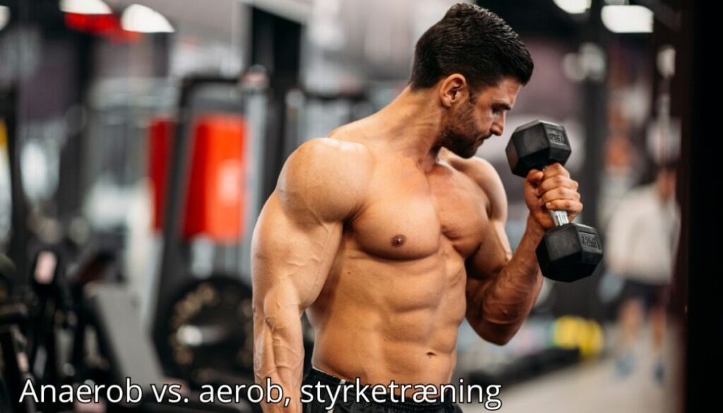 Billedet viser en veltrænet mand, der står i et fitnesscenter og laver en bicepscurl med en håndvægt. Hans muskuløse overkrop er i fokus, mens baggrunden er let sløret, hvilket fremhæver træningsmiljøet med forskellige fitnessudstyr. Billedetekst: "Anaerob vs. aerob, styrketræning"