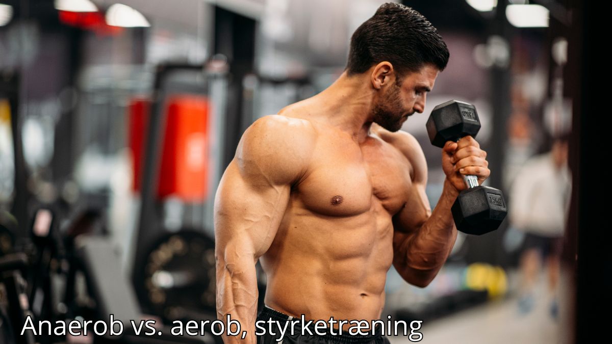 Billedet viser en veltrænet mand, der står i et fitnesscenter og laver en bicepscurl med en håndvægt. Hans muskuløse overkrop er i fokus, mens baggrunden er let sløret, hvilket fremhæver træningsmiljøet med forskellige fitnessudstyr. Billedetekst: "Anaerob vs. aerob, styrketræning"
