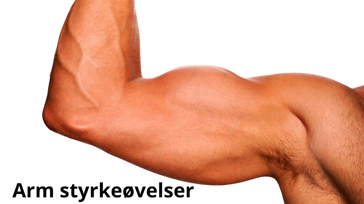Billedet viser en muskuløs, bøjet arm med tydelige årer og veldefinerede muskler. Armen er fotograferet mod en hvid baggrund. Nederst på billedet står teksten: "Arm styrkeøvelser".
